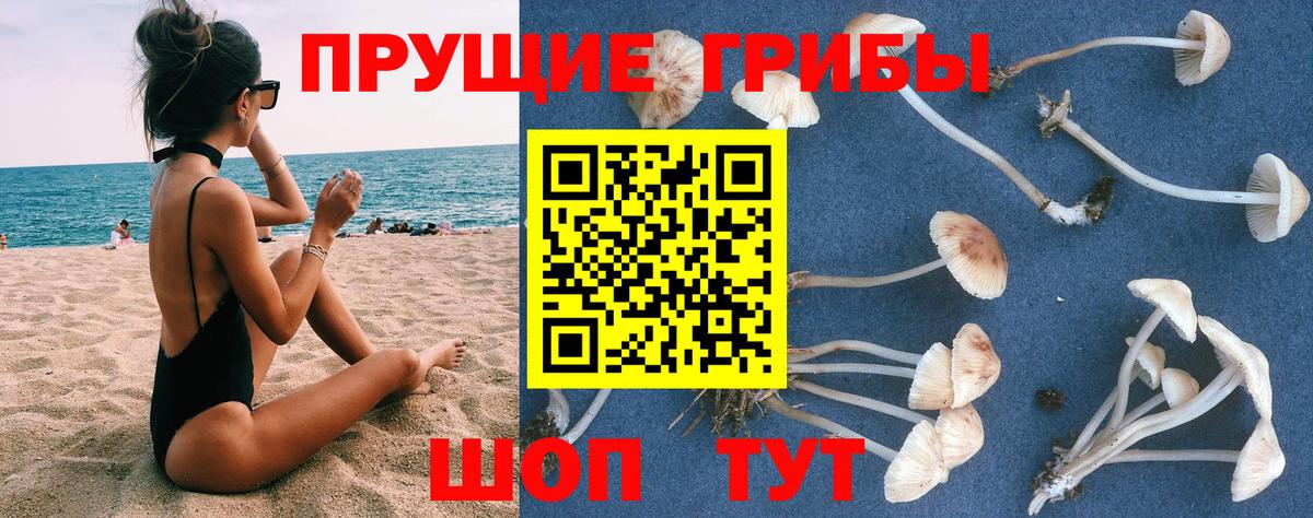 Галлюциногенные грибы GOLDEN TEACHER Севастополь